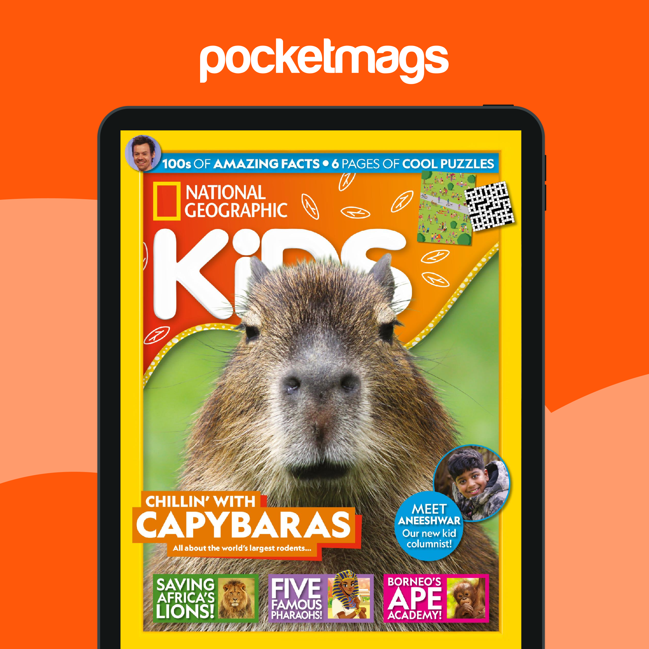 National Geographic Kids Magazine Subscriptions and Issue 257 Issue