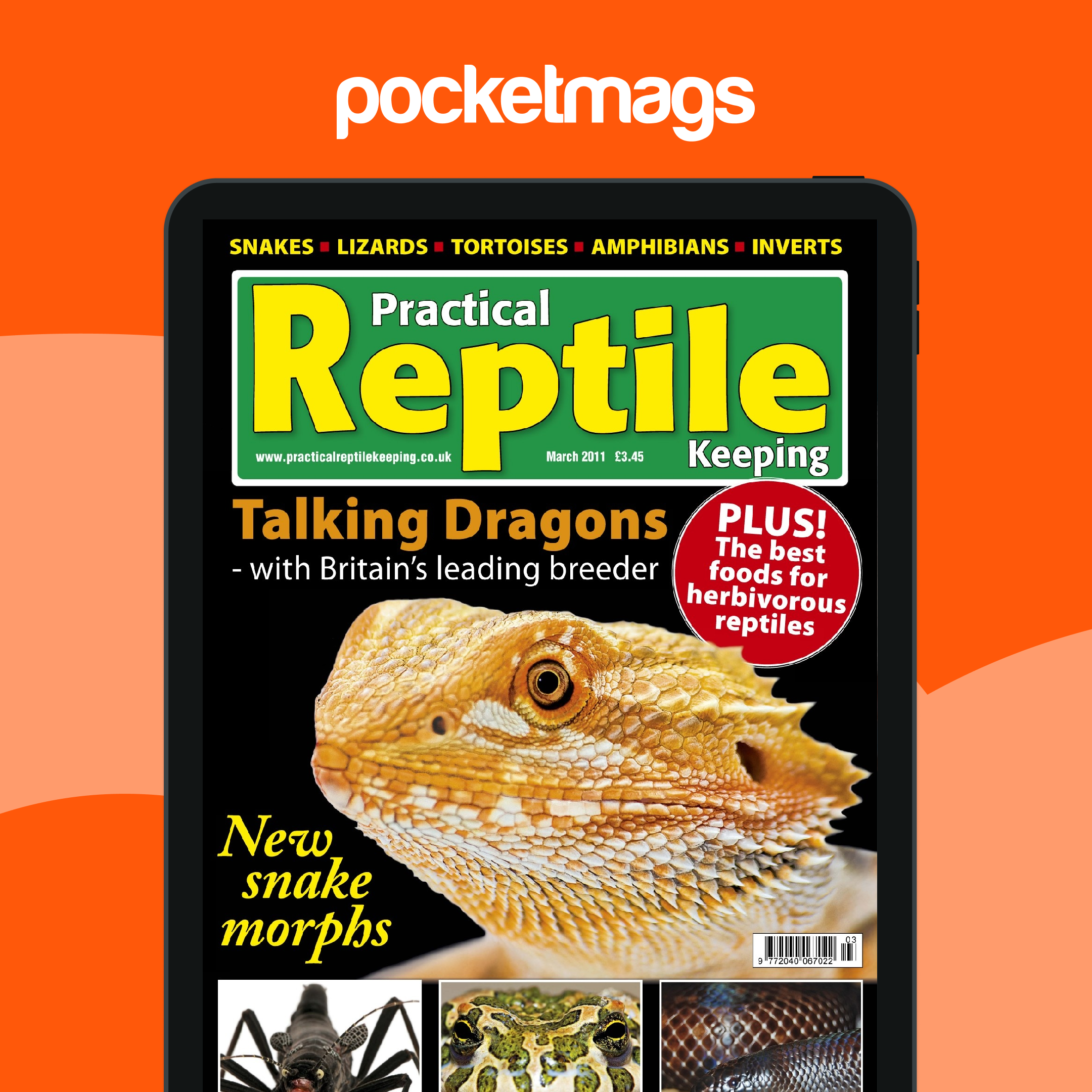 Practical Reptile Keeping Magazine - No.23 Bearded Dragons Back Issue