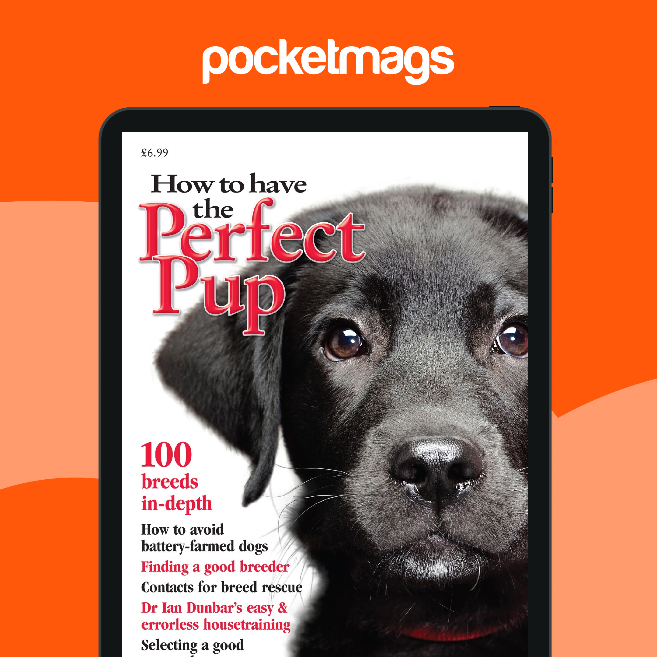 Dogs Today Magazine How To Have The Perfect Pup Back Issue