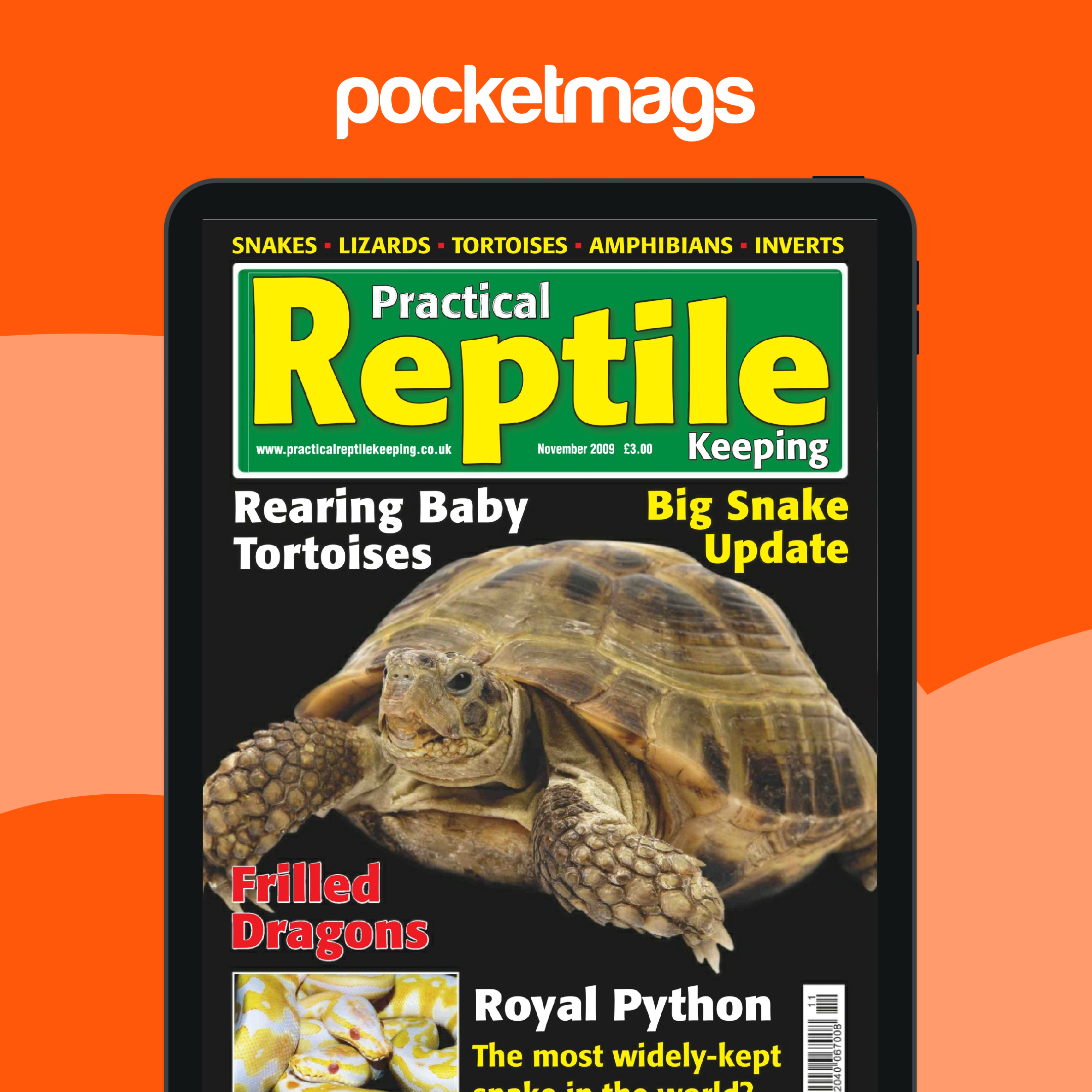 Practical Reptile Keeping Magazine - No.6 Rearing Baby Tortoises Back Issue