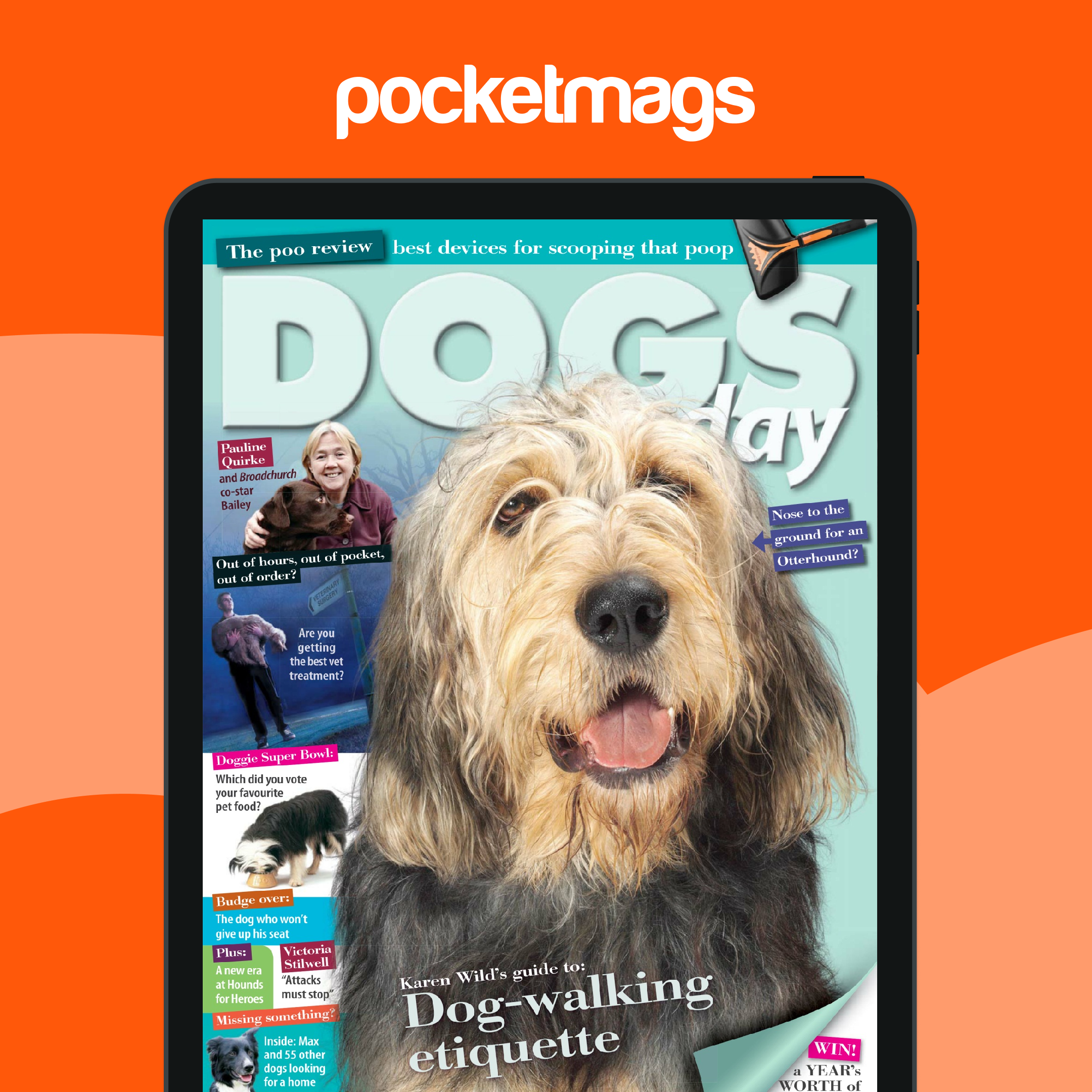 Dogs Today Magazine September 2013 Back Issue