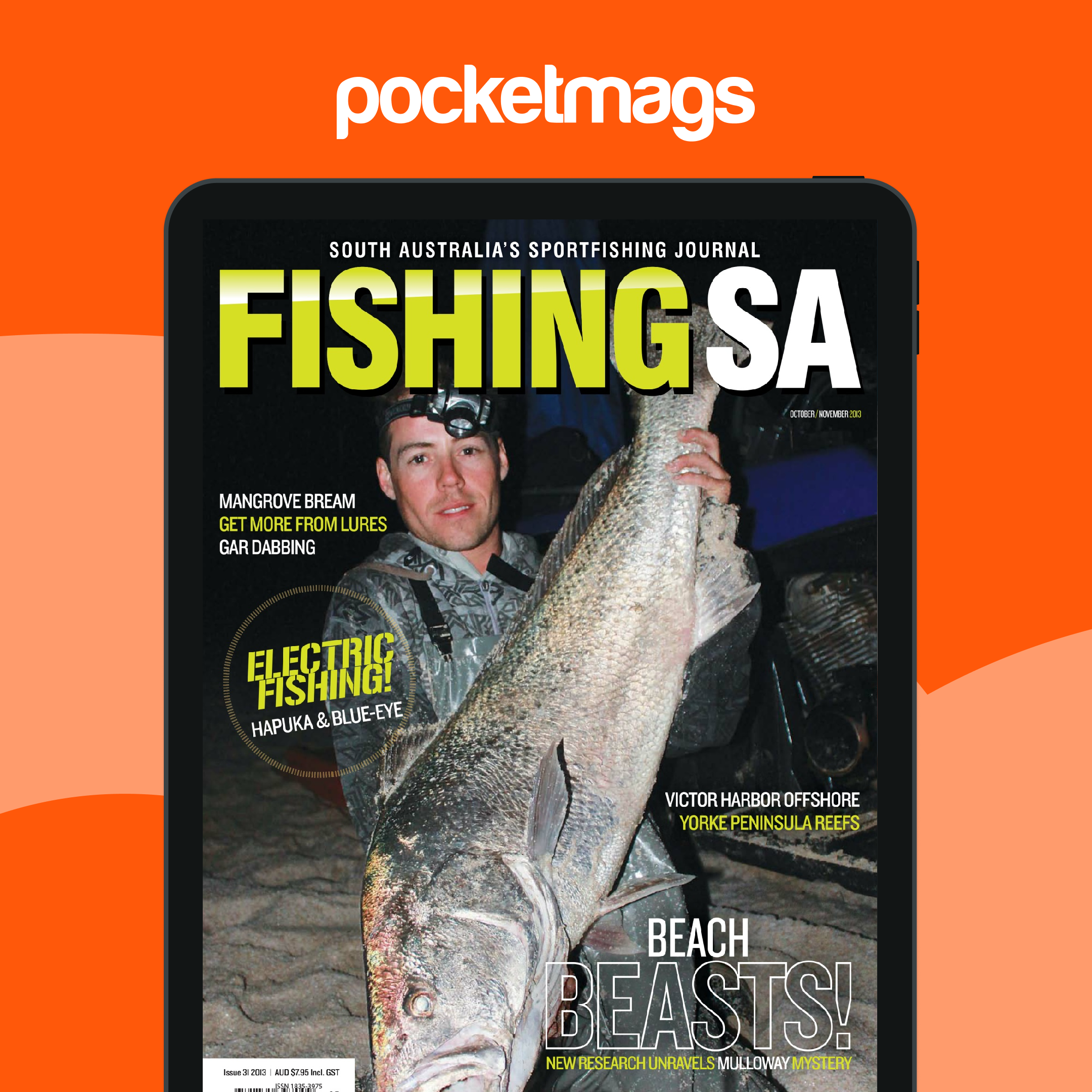 Fishing SA Magazine - Fishing SA OctNov 2013 Back Issue