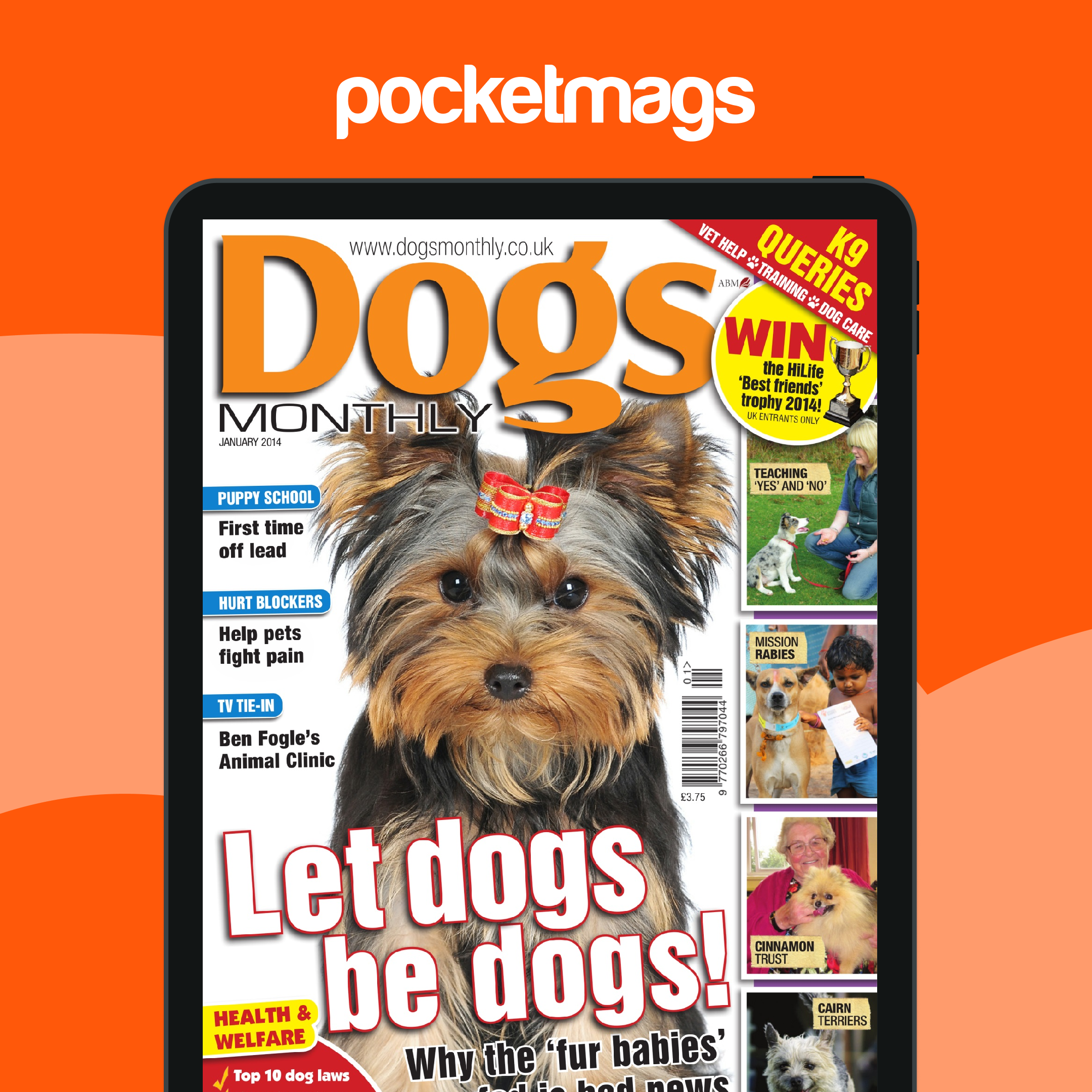 Dogs Monthly Magazine Dogs Monthly January 2014 Back Issue