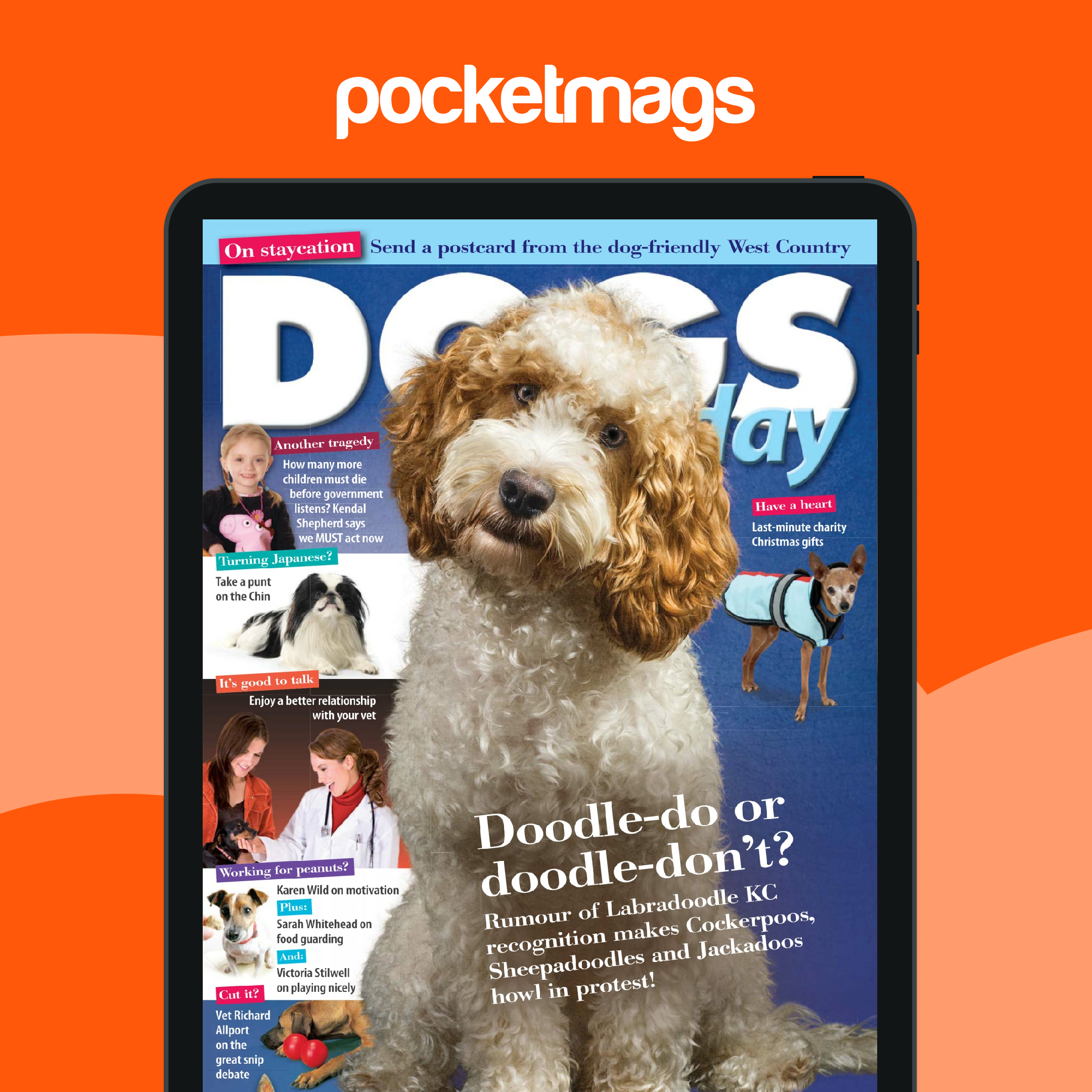 Dogs Today Magazine January 2014 Back Issue