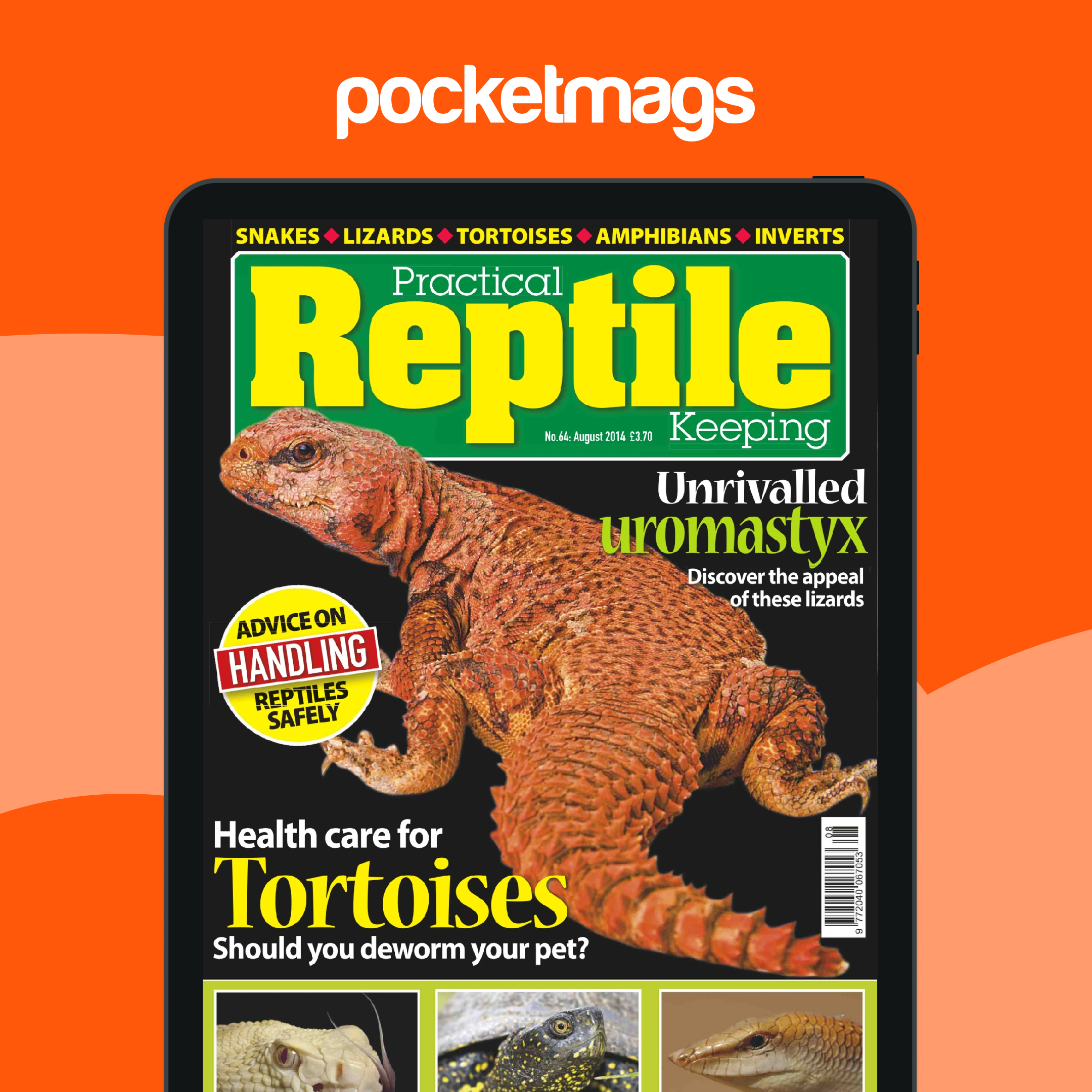 Practical Reptile Keeping Magazine - No.64 Health Care for Tortoises ...