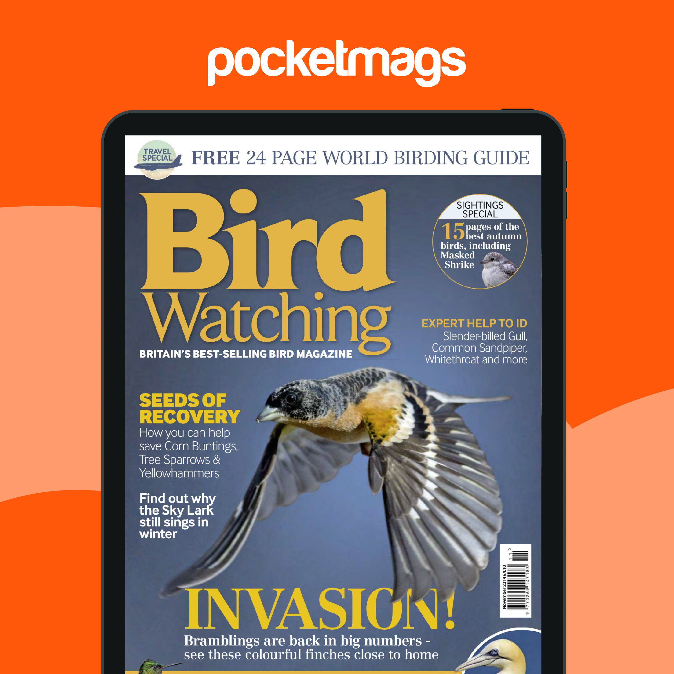 Bird Watching Magazine November 2014 Back Issue