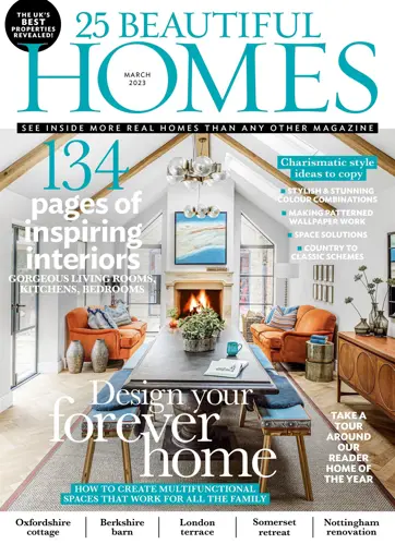 25 Beautiful Homes Preview