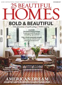 November 2017 
                issue November 2017