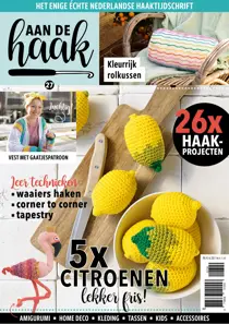 27 
                issue 27