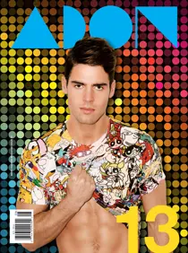 Issue 13 
                issue Issue 13