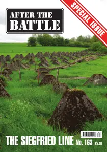 Issue 163 
                issue Issue 163