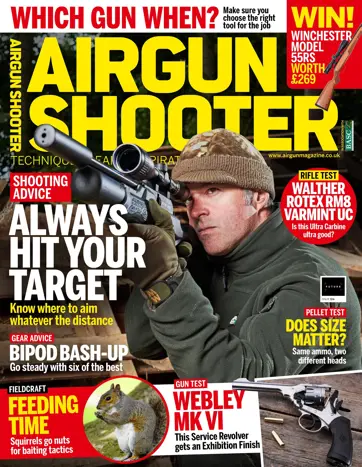 Airgun Shooter Preview