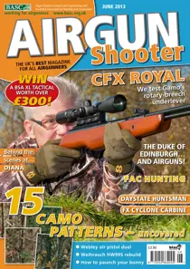 June 2013 
                issue June 2013