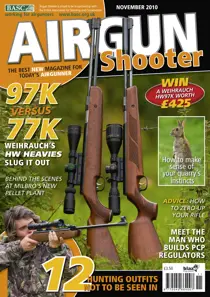 November 2010 
                issue November 2010