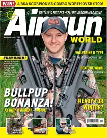 November 2013 
                issue November 2013