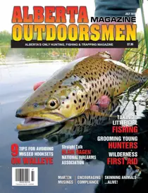 Volume 21 Issue 3 
                issue Volume 21 Issue 3