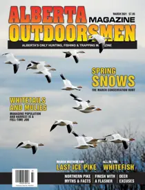 Volume 22 Issue 11 
                issue Volume 22 Issue 11