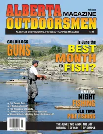 Volume 22 Issue 2 
                issue Volume 22 Issue 2