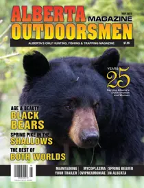 Volume 25 Issue 1 
                issue Volume 25 Issue 1