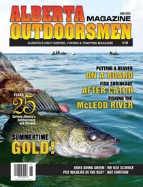 Volume 25 Issue 2 
                issue Volume 25 Issue 2