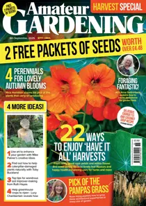06-Sep-25 
                issue 06-Sep-25