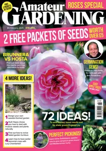 08-Feb-25 
                issue 08-Feb-25