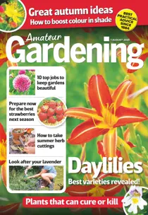 1-Aug-2020 
                issue 1-Aug-2020