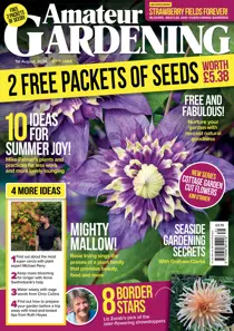 Amateur Gardening 
                issue 1 August 2026