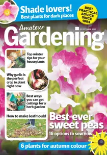 10-Oct-2020 
                issue 10-Oct-2020