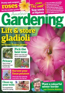 10th December 2016 
                issue 10th December 2016