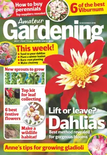 10th November 2018 
                issue 10th November 2018