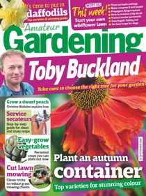 10th September 2016 
                issue 10th September 2016