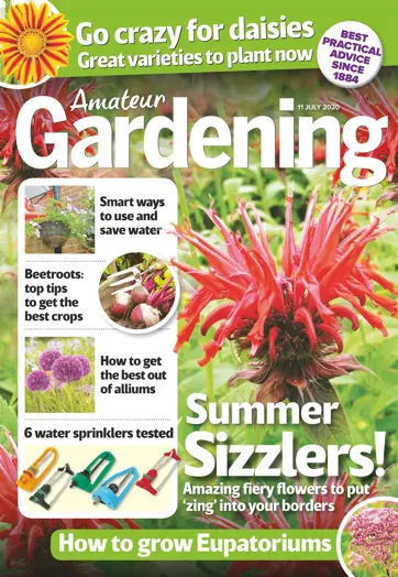 Amateur Gardening Preview