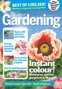 11th May 2019 
                issue 11th May 2019