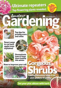 12-Dec-2020 
                issue 12-Dec-2020