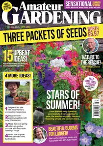 12-Jul-25 
                issue 12-Jul-25