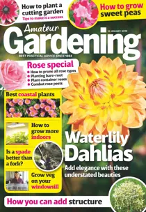 12th January 2019 
                issue 12th January 2019