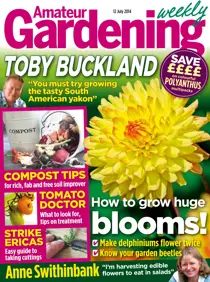 12th July 2014 
                issue 12th July 2014