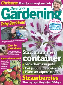 12th March 2016 
                issue 12th March 2016