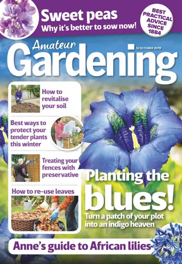 Amateur Gardening Preview