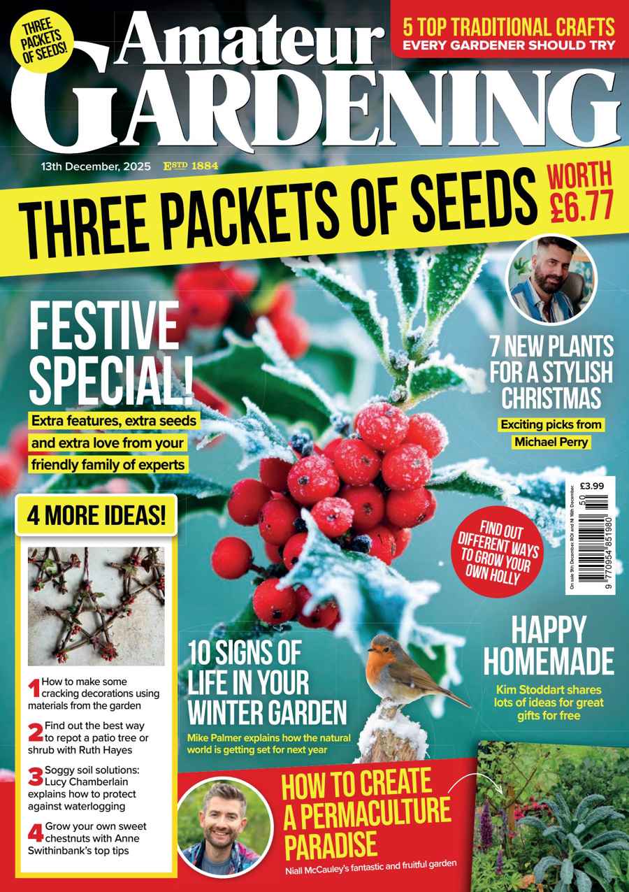 Amateur Gardening issue 13-Dec-25