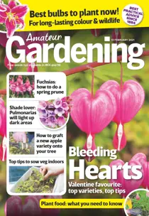 13-Feb-2021 
                issue 13-Feb-2021