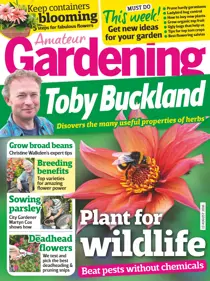 13th August 2016 
                issue 13th August 2016