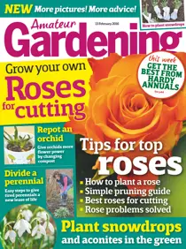 13th February 2016 
                issue 13th February 2016