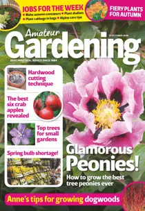 13th October 2018 
                issue 13th October 2018