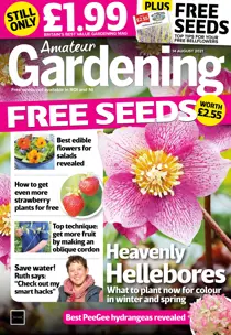 14-Aug-2021 
                issue 14-Aug-2021