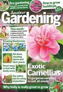 14th December 2019 
                issue 14th December 2019