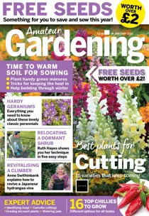Amateur Gardening 
                issue FREE Sample Issue