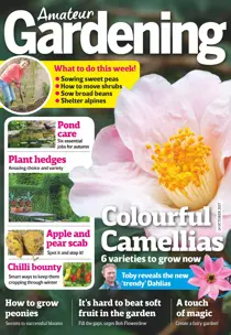 14th October 2017 
                issue 14th October 2017