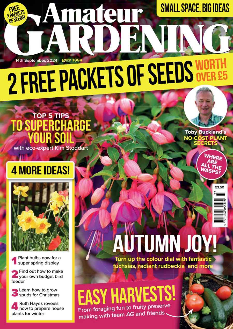 Amateur Gardening issue 14th September 2024